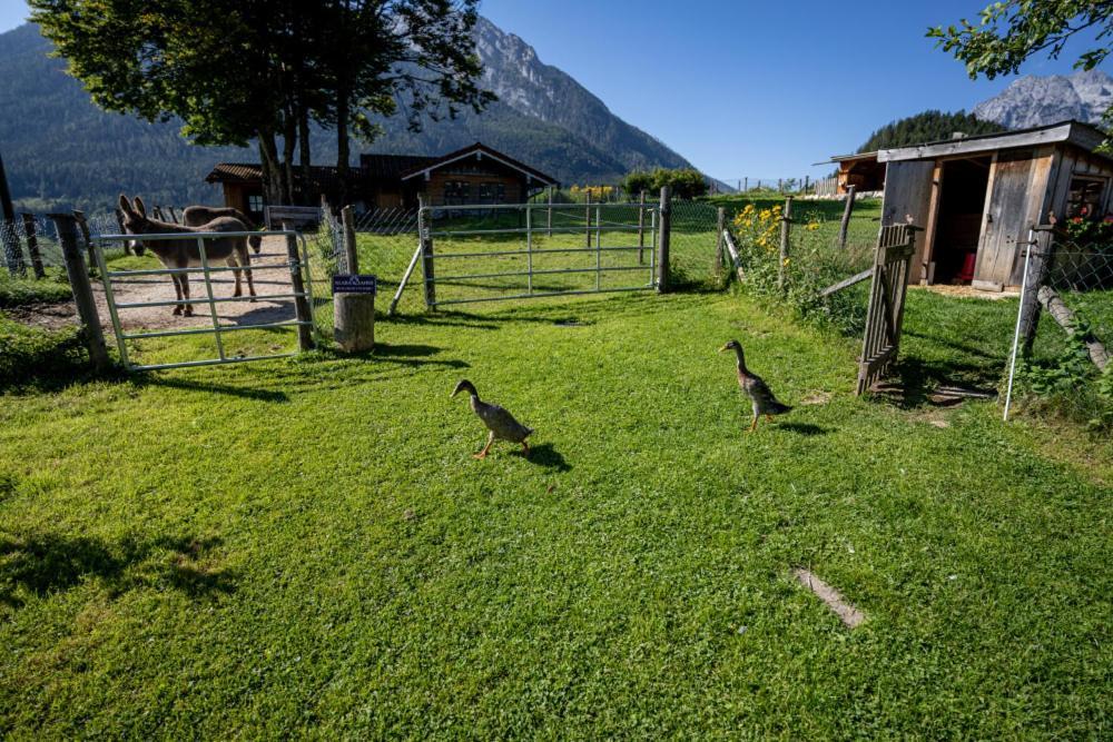 Gaestehaus Hinterponholz Ramsau bei Berchtesgaden Dış mekan fotoğraf